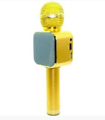 Детский караоке микрофон WSTER WS-1818 колонка золотой
