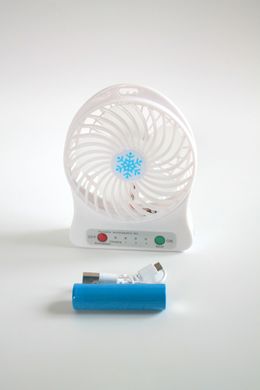 Настольный вентилятор Fan Mini с фонариком